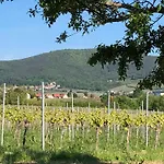Gaestehaus Susanne Pfaffmann Landau in der Pfalz