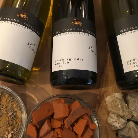 Gaestehaus Susanne Pfaffmann 4* Landau in der Pfalz