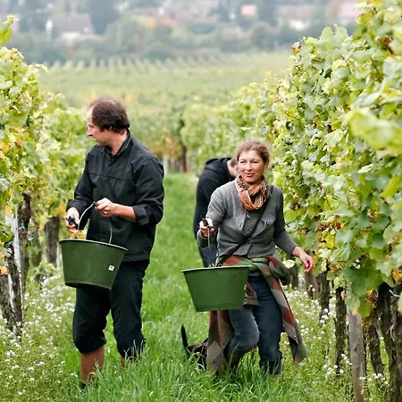 Gaestehaus Susanne Pfaffmann 4*