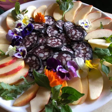 Gaestehaus Susanne Pfaffmann Landau in der Pfalz