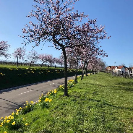Gaestehaus Susanne Pfaffmann Landau in der Pfalz