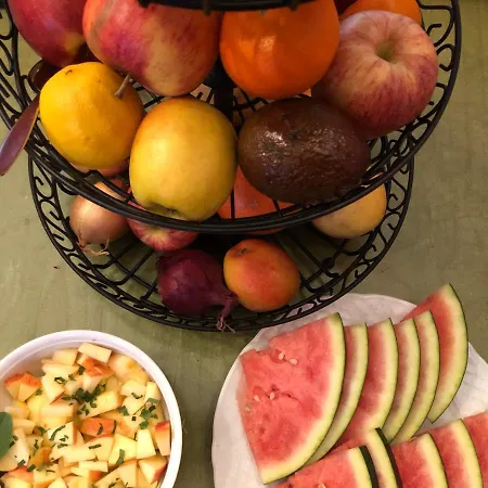 Gæstehus Gaestehaus Susanne Pfaffmann Landau in der Pfalz