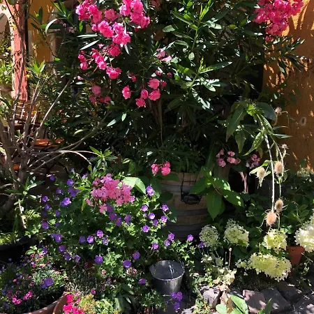 Gaestehaus Susanne Pfaffmann Gæstehus