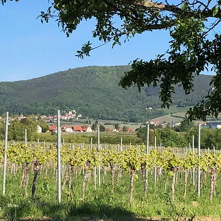 Gaestehaus Susanne Pfaffmann Landau in der Pfalz