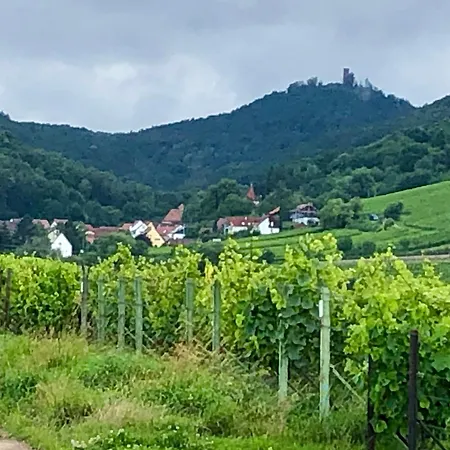 Gaestehaus Susanne Pfaffmann 4* 朗道因德普法尔茨