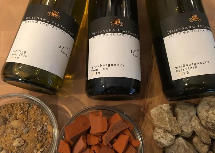 Gaestehaus Susanne Pfaffmann 4* 朗道因德普法尔茨