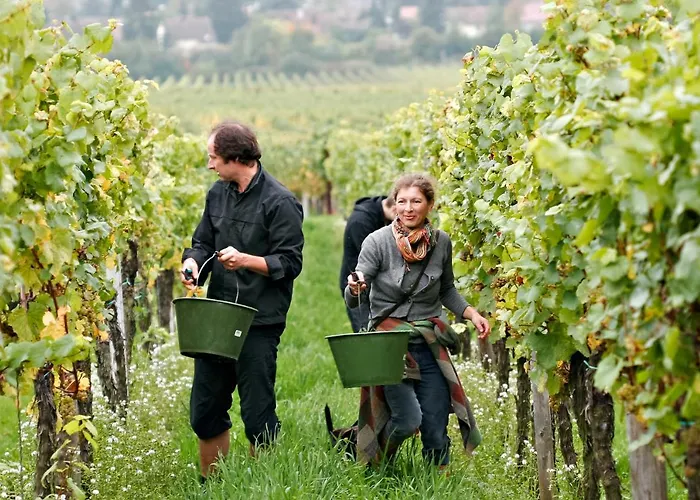 Gaestehaus Susanne Pfaffmann 4*