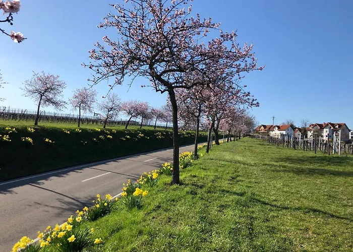 Gaestehaus Susanne Pfaffmann 朗道因德普法尔茨