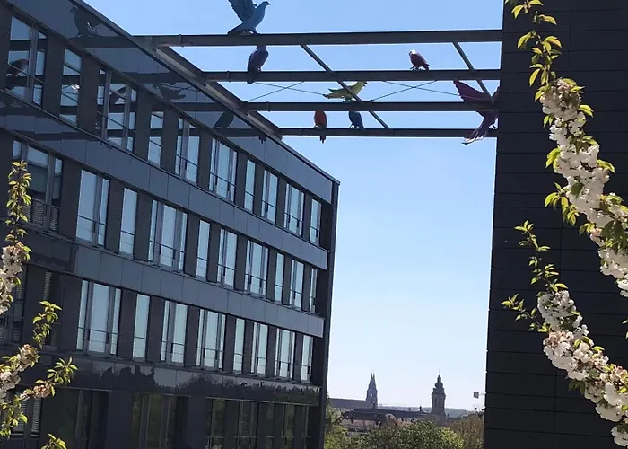 Gaestehaus Susanne Pfaffmann 招待所 朗道因德普法尔茨