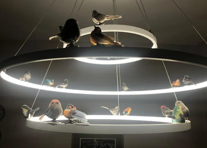 Gaestehaus Susanne Pfaffmann ランダウ・イン・デア・プファルツ