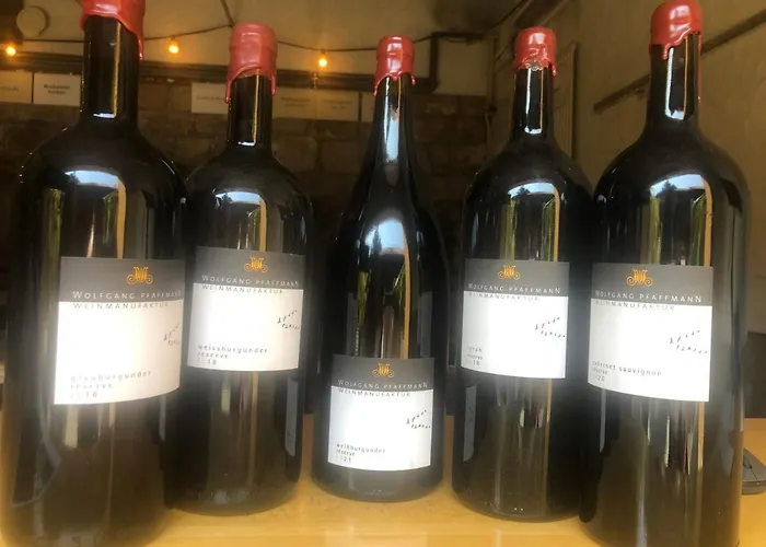 ゲストハウス Gaestehaus Susanne Pfaffmann ランダウ・イン・デア・プファルツ