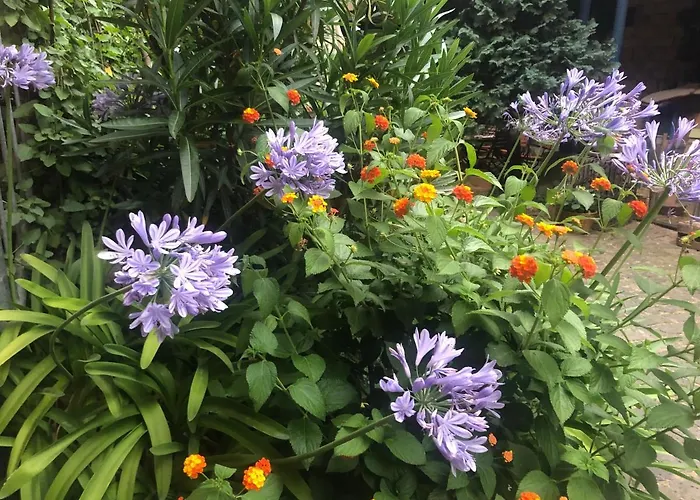 Gaestehaus Susanne Pfaffmann 朗道因德普法尔茨