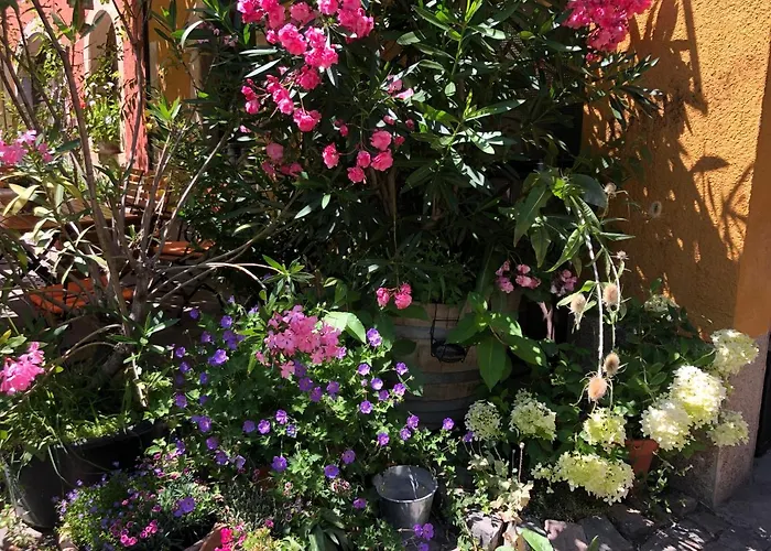 Gaestehaus Susanne Pfaffmann ゲストハウス