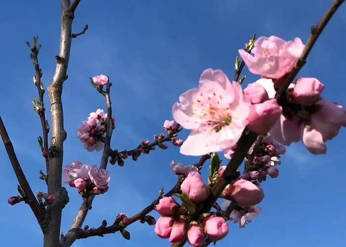 Gaestehaus Susanne Pfaffmann