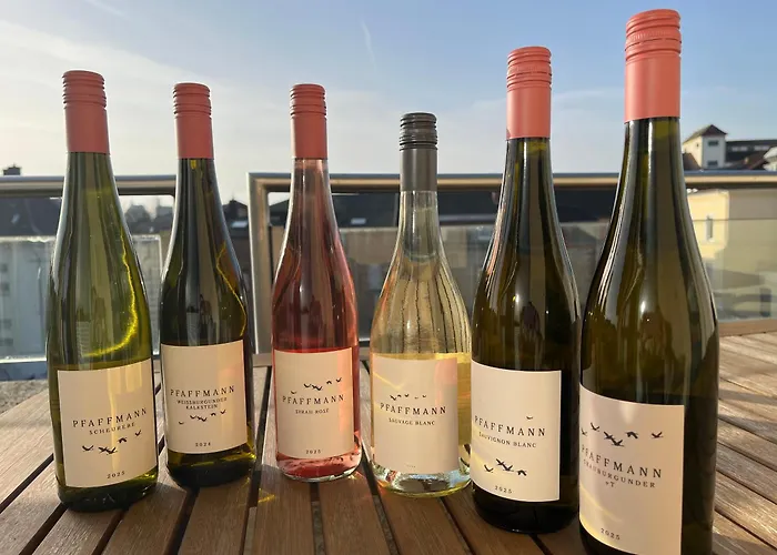 Gaestehaus Susanne Pfaffmann 招待所