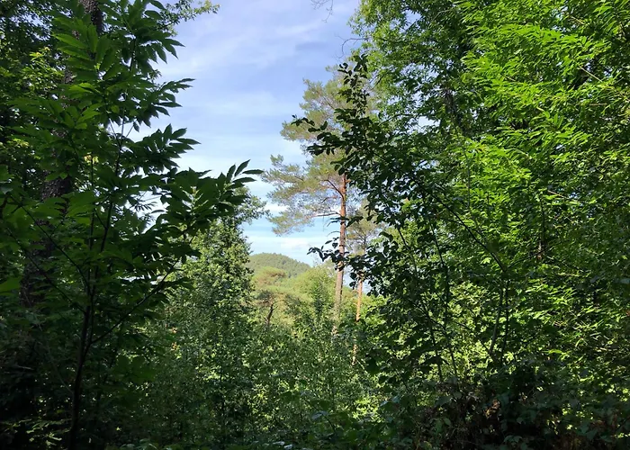 Gaestehaus Susanne Pfaffmann 招待所