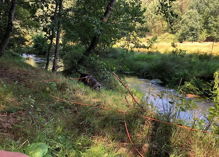 招待所 Gaestehaus Susanne Pfaffmann 4*