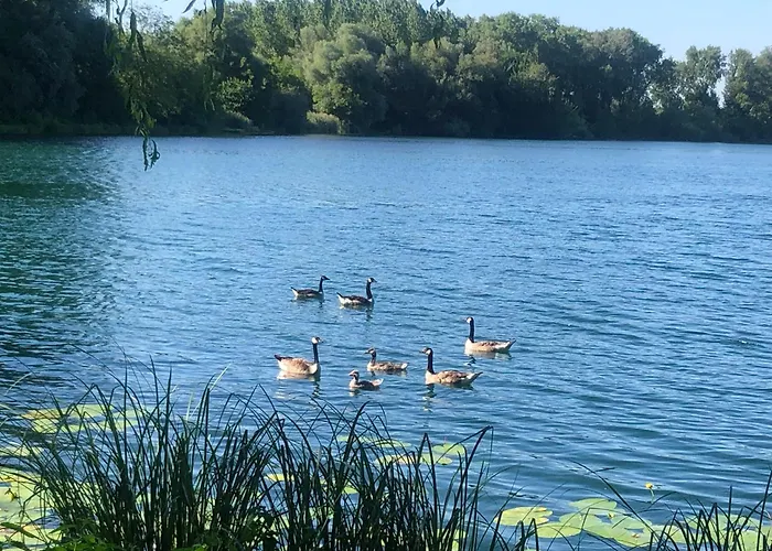 Gaestehaus Susanne Pfaffmann 4*