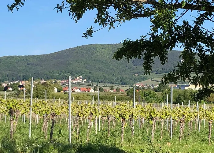 Gaestehaus Susanne Pfaffmann 朗道因德普法尔茨